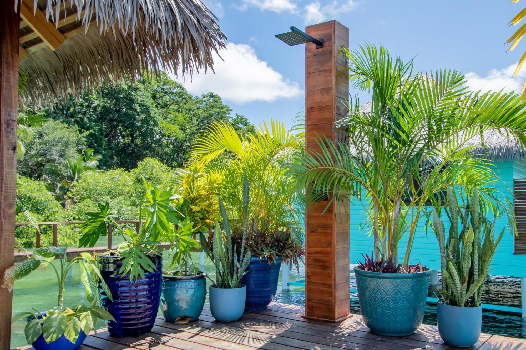 Sol Bungalows بوكاس تاون المظهر الخارجي الصورة